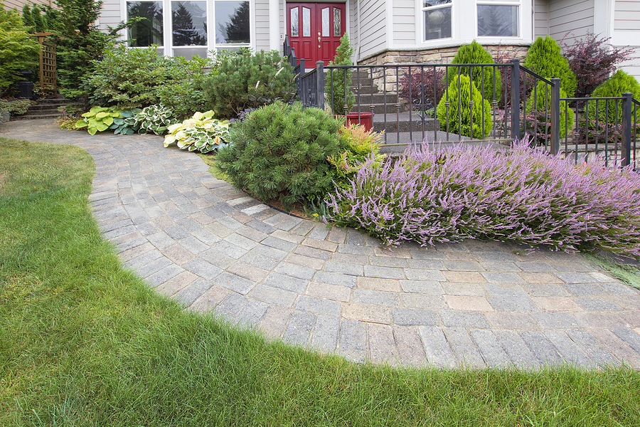 Front Yard Garden Curve Brick Paver Path with Green Grass Lawn Flowering Plants Trees and Shrubs